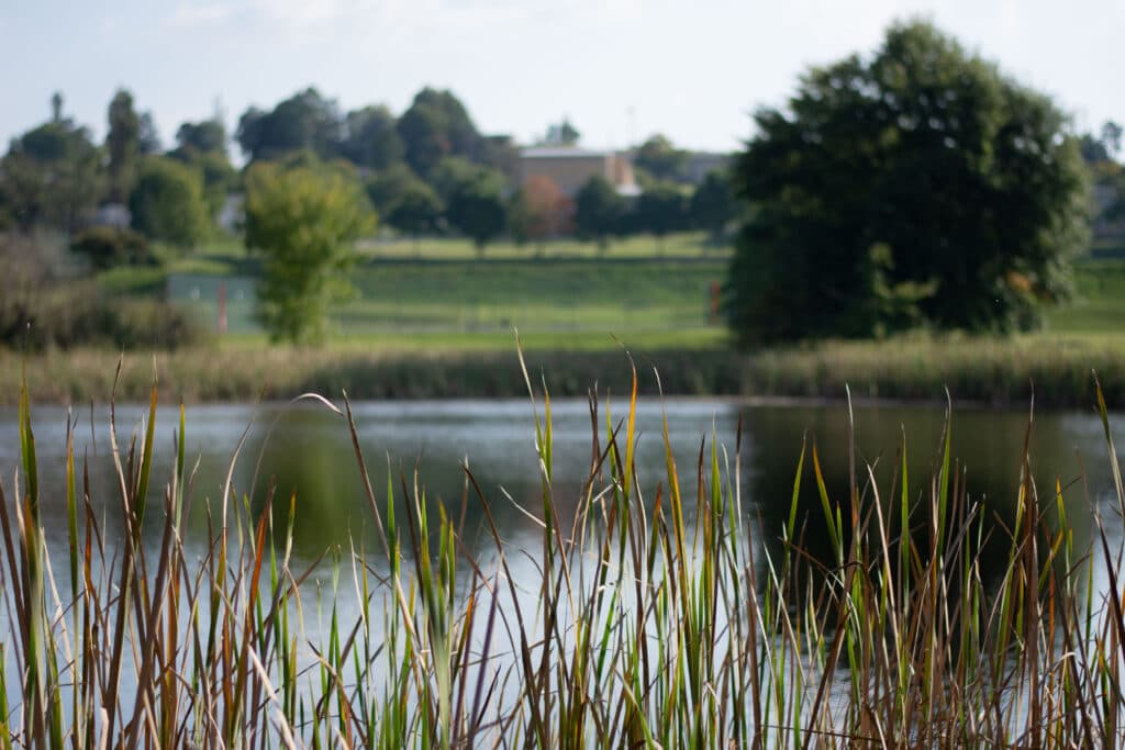 Treverton College - Image 3