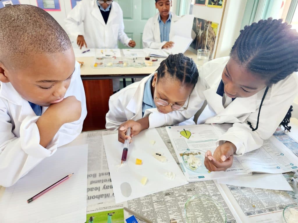 St James Primary School - Image 3