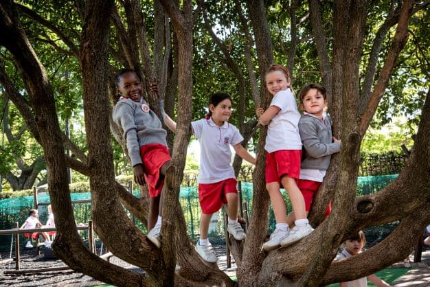 St Mary's Primary School Waverley - Image 2