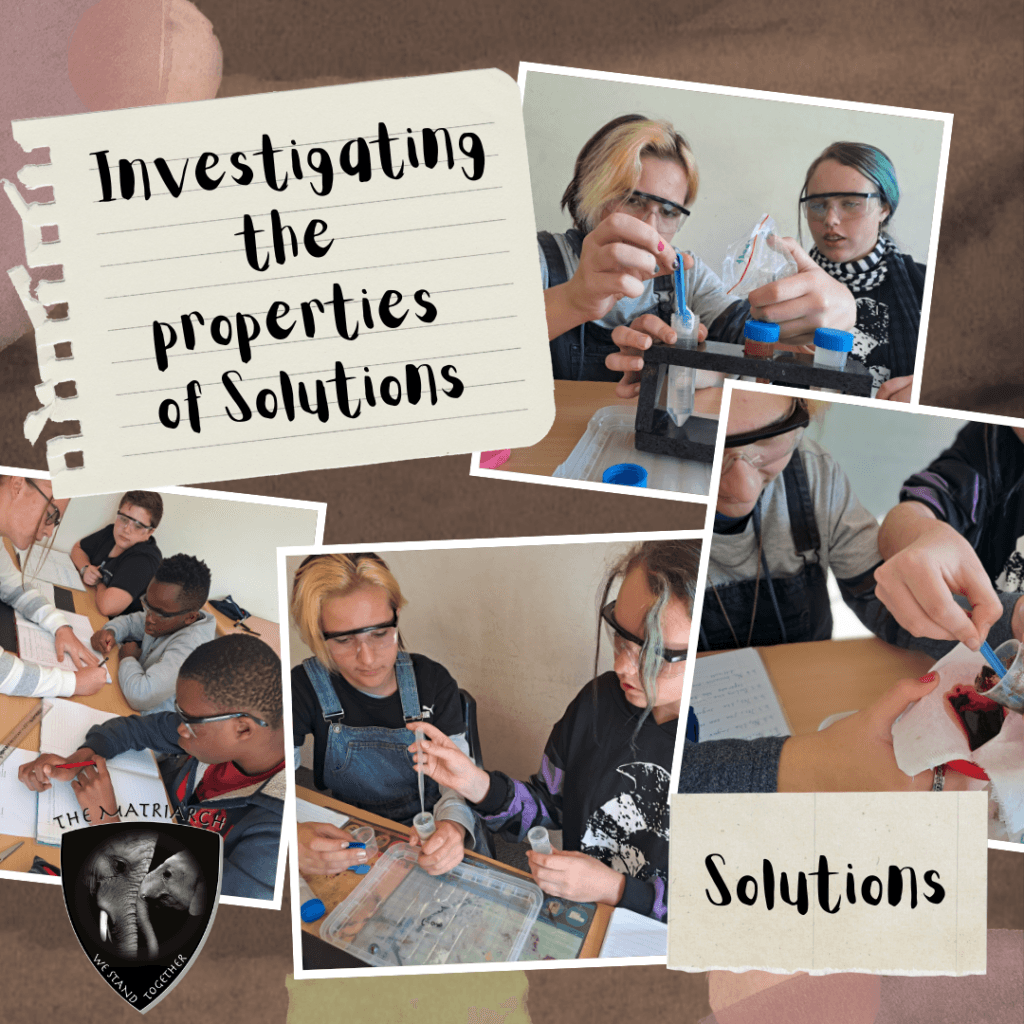 The Matriarch Tutors - Image 4