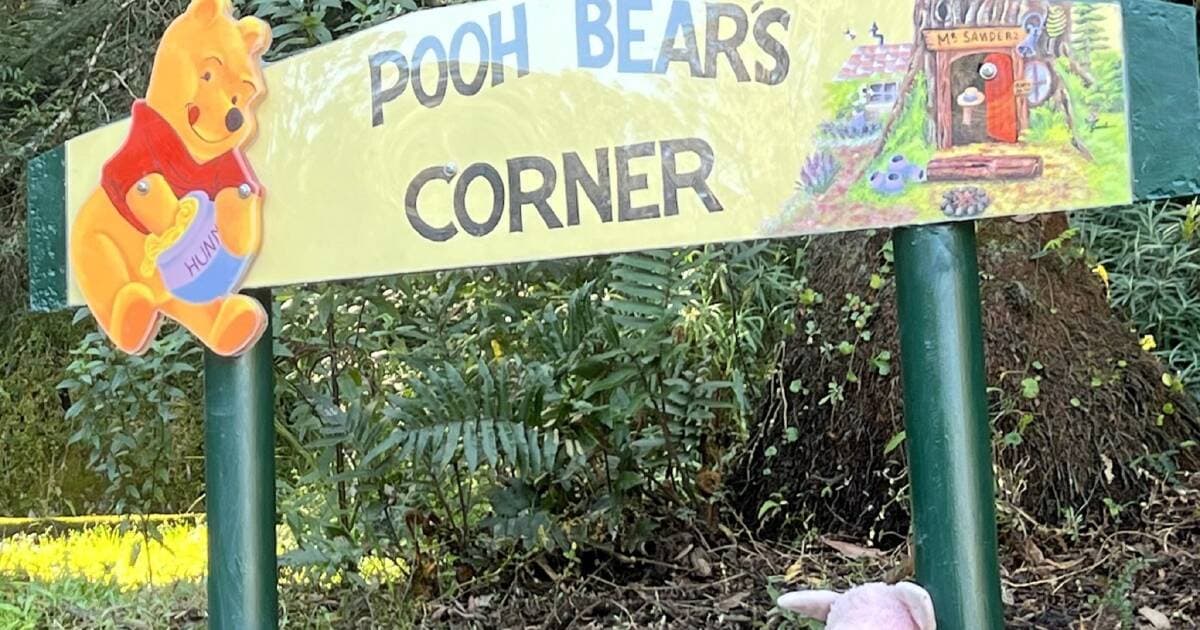 Pooh Bear Corner Pre-School - Image 3